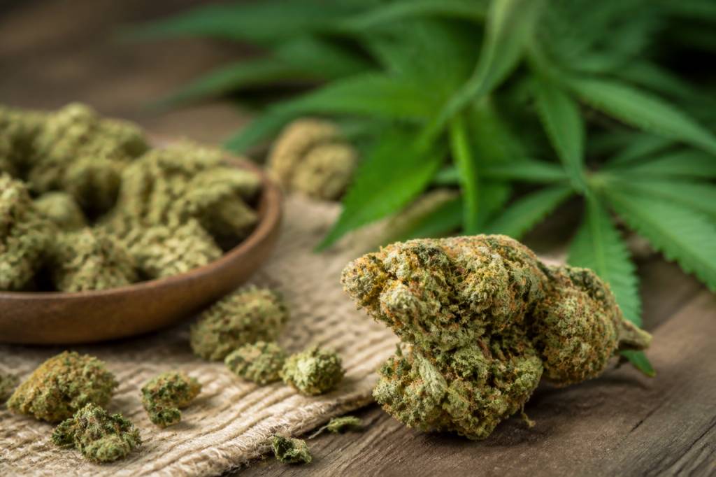 Fleurs de chanvre cbd : guide complet pour bien choisir et utiliser ces fleurs naturelles