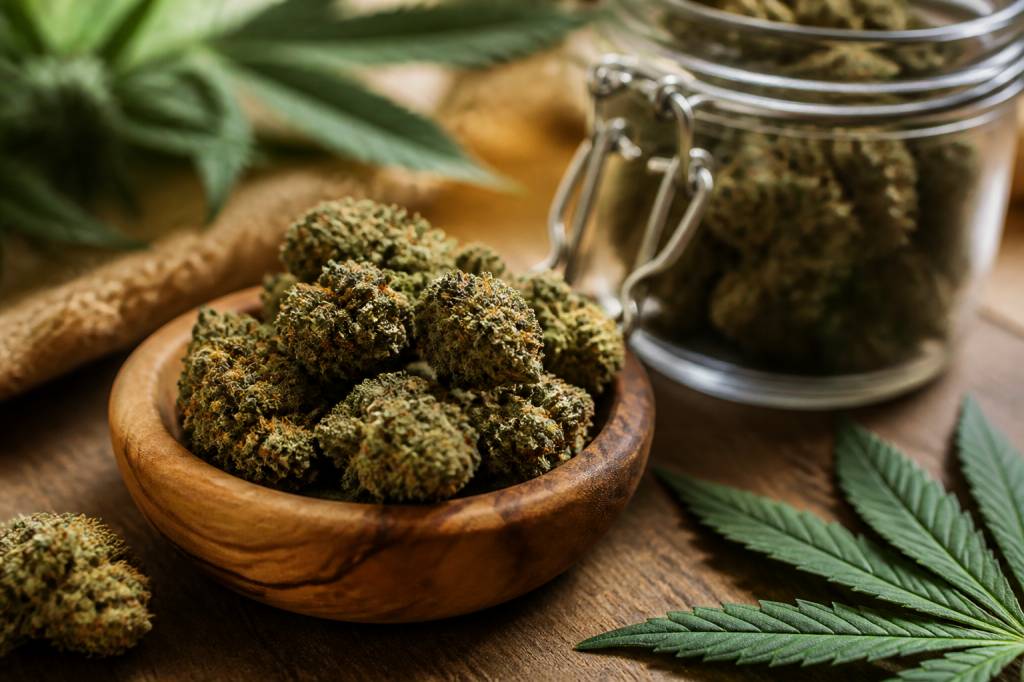 Fleur de canabise : bien choisir, utiliser et conserver ses fleurs de CBD