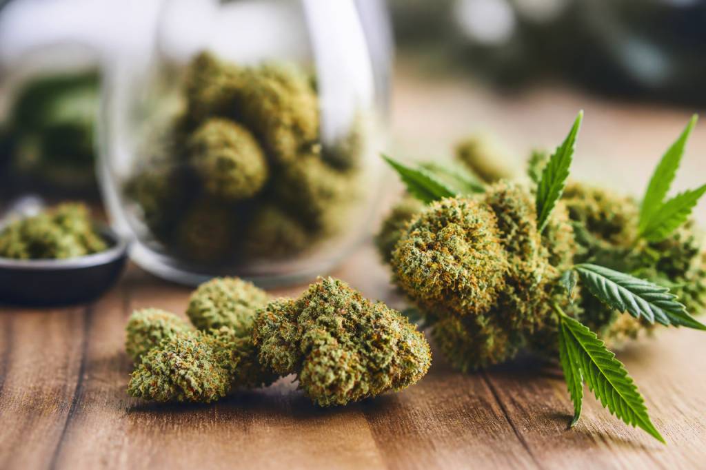Amnésia haze : effets, origine et conseils pour bien la choisir