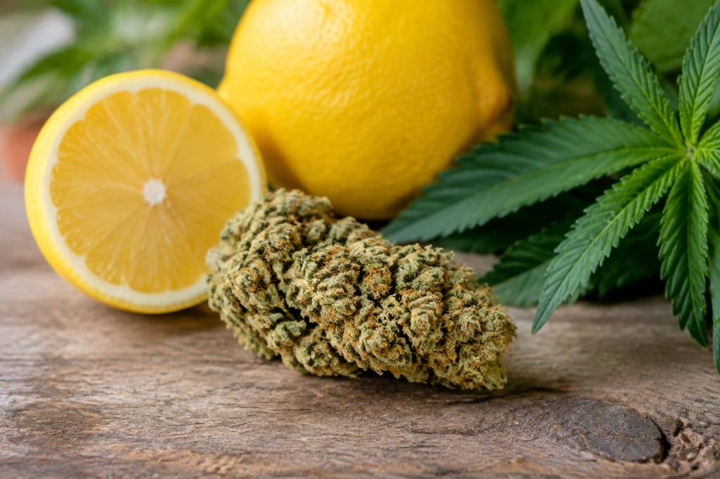 Lemon haze effet : bienfaits, durée et précautions à connaître