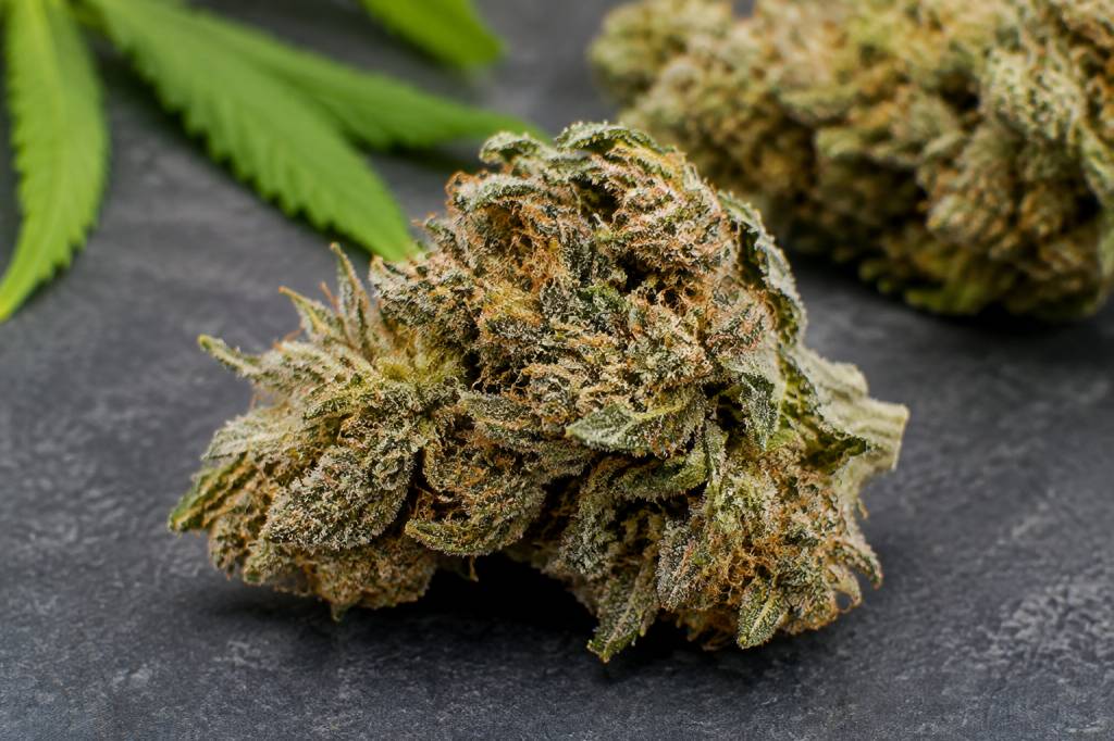 Icerock : test et avis sur cette fleur de CBD aux cristaux de glace