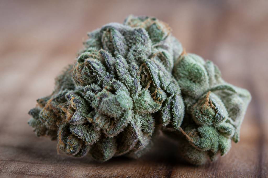 Wedding cake weed : origine, effets et légalité de cette variété de cannabis